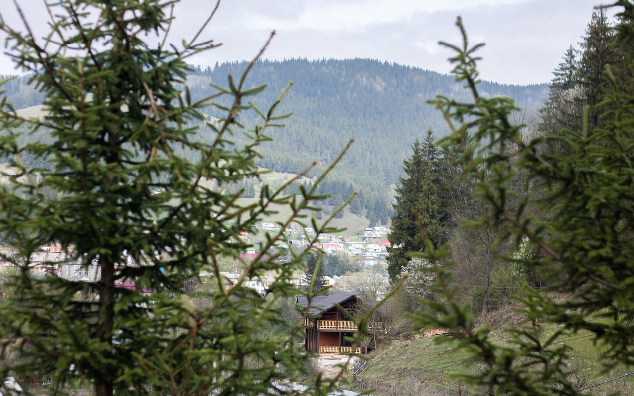 Villa Karpatska Oselia Werchowyna Exterior foto