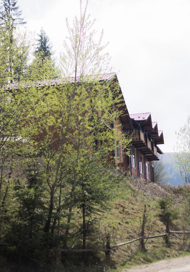 Villa Karpatska Oselia Werchowyna Exterior foto
